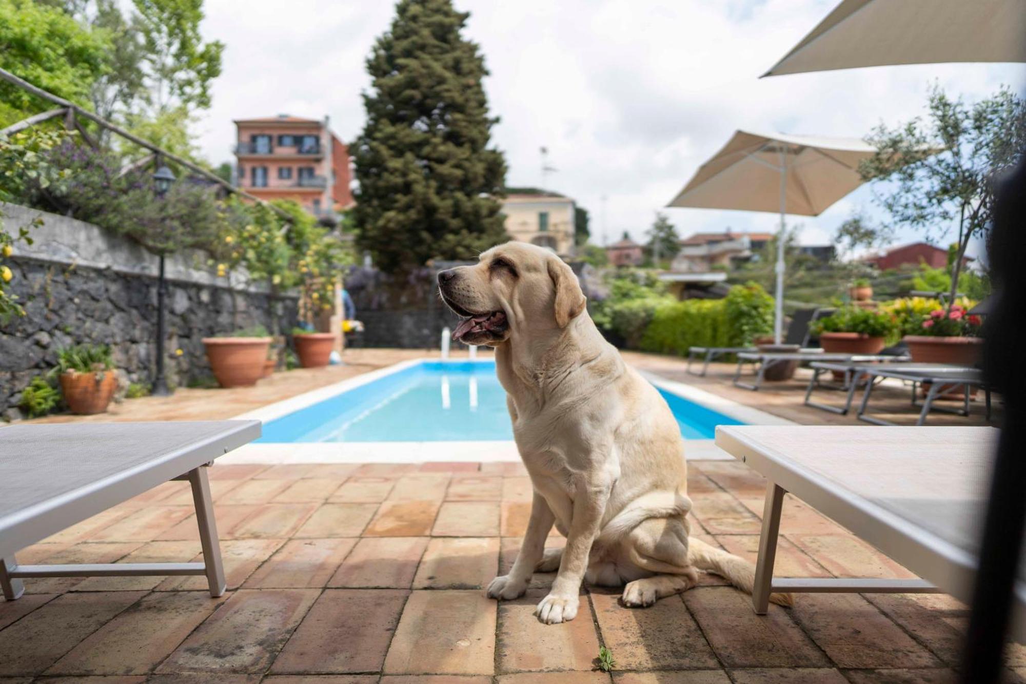 B&B Bellini ミーロ エクステリア 写真