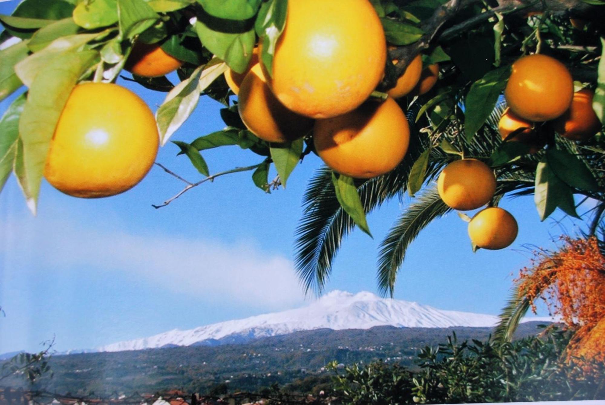 B&B Bellini ミーロ エクステリア 写真